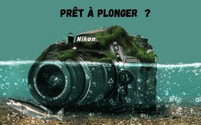 6 phénomènes naturels, offrant des paysages sous-marins uniques.