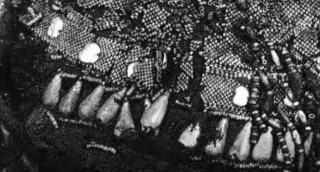 collier disparu toutankhamon