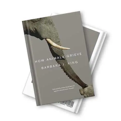 couverture du livre de Barbara J King : How Animals Grieve